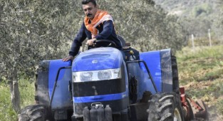 Dev tarım zirvesinde Dikili'de yerini alacak!