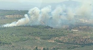 İzmir’de makilik alanda yangın