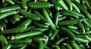 İzmir'in zam şampiyonu salatalık!