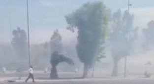 İzmir Otogarı duman altı!