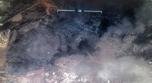 İzmir'de makilik alanda çıkan yangın kontrol altında