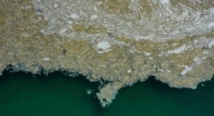 Uzmanlar uyardı: Akdeniz gittikçe kahverengileşiyor