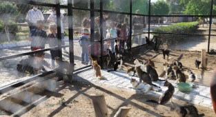 Başkan Eriş: “Sevimli dostlarımız için 365 gün sevgi ve özveriyle çalışıyoruz” 