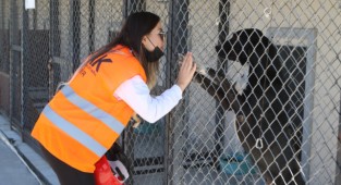 Bayraklı'da hayvanseverlere 'arama-kurtarma' eğitimi