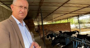 CHP’li Sertel: Üretici su fiyatına süt satıyor