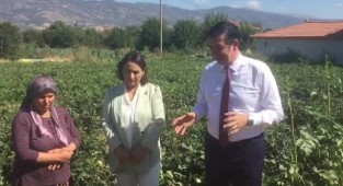 CHP'li vekiller İzmir'de çiftçileri dinledi