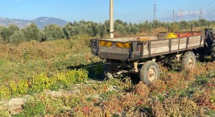 Domates toplayan kadın traktörün altında kalarak hayatını kaybetti