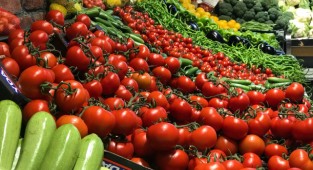 Domatesin kilosu 10 liraya çıktı!