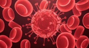 En sağlıklı kan grubu hangisi? İşte araştırma sonucu