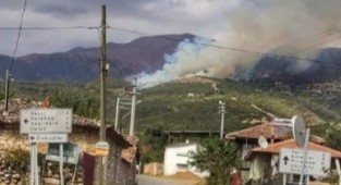 İzmir'de ormanlık alanda yangın!