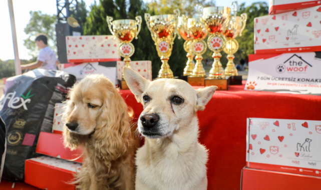 İzmirli hayvanseverler FestPati Buca’da buluştu