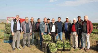 İzmirli üreticileri zehirli ıspanak iddiaları vurdu!