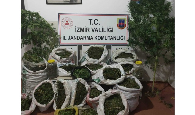 Jandarmadan operasyon: 50 kilonun üzerinde esrar ele geçirildi