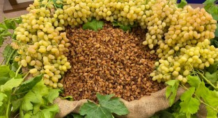 Kuru üzüm ihracatçılarından e-ticaret hamlesi