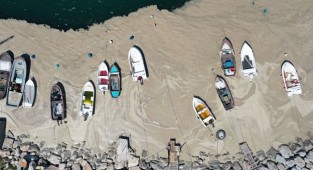 Müsilaj Komisyonu'nun görev süresi 1 ay uzatıldı