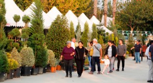 Süs bitkileri sektörünün kalbi Ödemiş’te atacak 