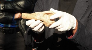 Yeşilova Höyüğü’nde 200 yeni buluntu 