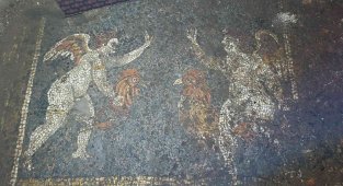 2 bin 700 yıllık mozaikler kaçak kazıda bulundu!