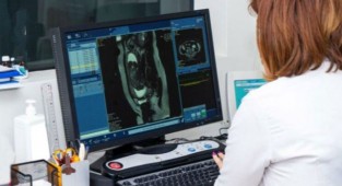 Atanamayan sağlıkçılardan kadro çağrısı