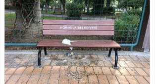 Bornova Belediyesi'nden çöp tepkisi!