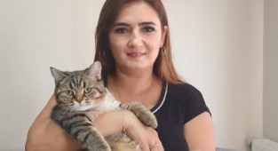 CHP'li Kılıç can dostları için aşı tedarik sıkıntısını meclise taşıdı