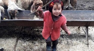 DNA sonuçlandı: Müslüme'nin dedesi babası çıktı!