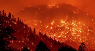 Dünyada bir ilk... Hastalık sebebine 