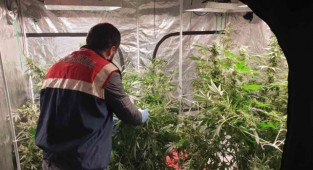 İzmir'de evi uyuşturucu serasına çevirmişler! 