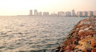 İzmir'de deniz marulları temizlendi!