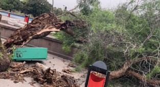 Büyükşehir'den fırtına raporu