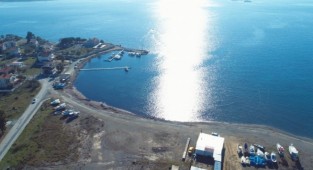 İzmir'deki o barınak projesine yargı engeli!