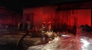 İzmir'de mobilya atölyesine kundaklama!