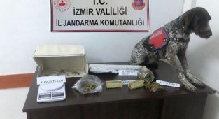 İzmir'de uyuşturucu baskını: 2 gözaltı