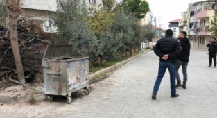 Kedi katili için ekip kuruldu