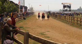 Küheylanlar, Atatürk için koştu 