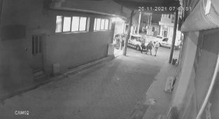 Polisin sırtından bıçaklandığı görüntüler ortaya çıktı