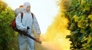 Rusya’dan sonra AB de narenciye alımını reddetti