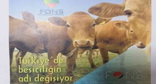 Saadet zinciri operasyonunda flaş gelişme: 'Yeni Çiftlik Bank' olacaklardı