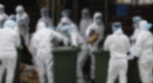 Uzman isimden ‘kuş gribi’ uyarısı