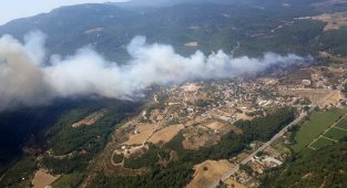 Ormanı yaktığı iddia edilen sanığa 7 yıl hapis cezası istendi