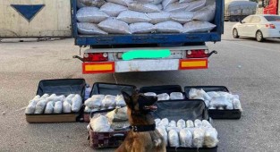 65 kilo esrarla yakalanan şüpheliler serbest bırakıldı!