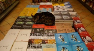 AFP: Türkiye’deki kriz, kitapları lükse dönüştürdü