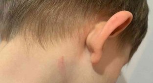 Aksaray'dan sonra İzmir'de de öğrenciye şiddet iddiası: Duvara fırlatıp, tokat attı