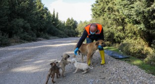 Buca’da can dostlarına mama desteği