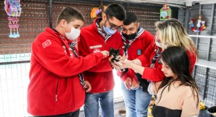 Buca'da engelli kediler yeni yuvalarını bekliyor