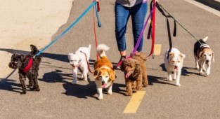 Büyükşehir'den Erdoğan'ın 'Toplatın' çağrısı sonrası açıklama