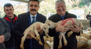 Büyükşehir’den üreticiye bir destek daha