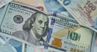 Dolar ve avro yılın son işlem gününe yükselişle başladı