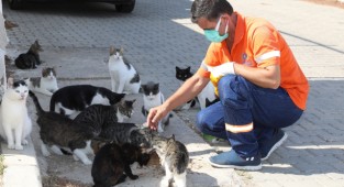 Gaziemir’de hayvanlara şefkat eli uzandı