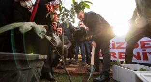 İkizdere'nin fidanları İzmir'de yeşerecek